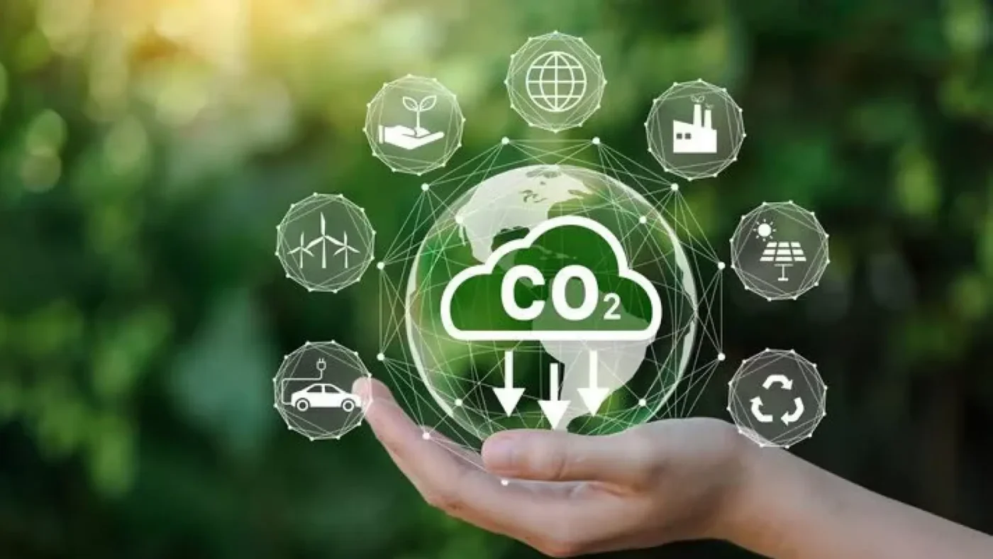 Guide to Using Our Carbon Footprint Calculator